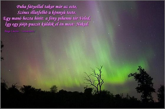 Verses Képeslapküldõ - Bagi László Hezekiah